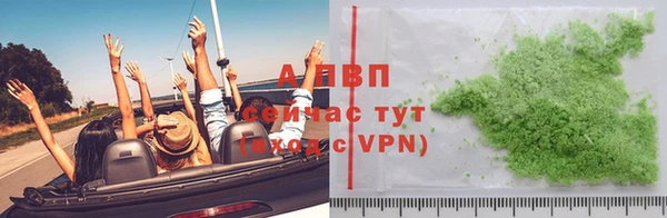 сатива Богданович