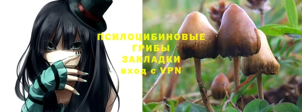 бошки Богородицк