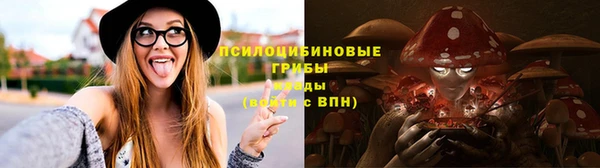 тгк Верея