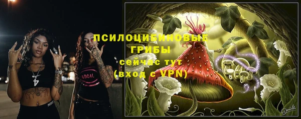 тгк Верея