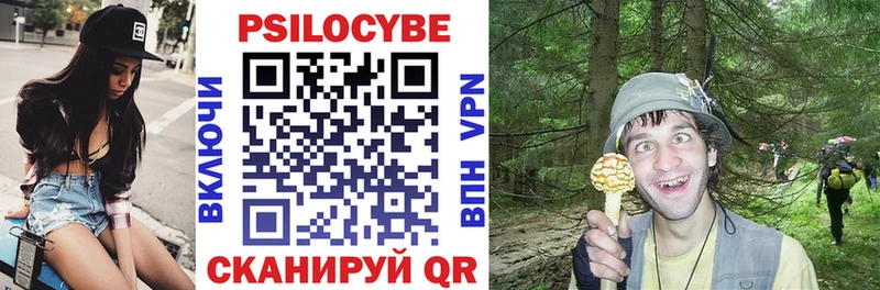 Галлюциногенные грибы Psilocybe  Сретенск 